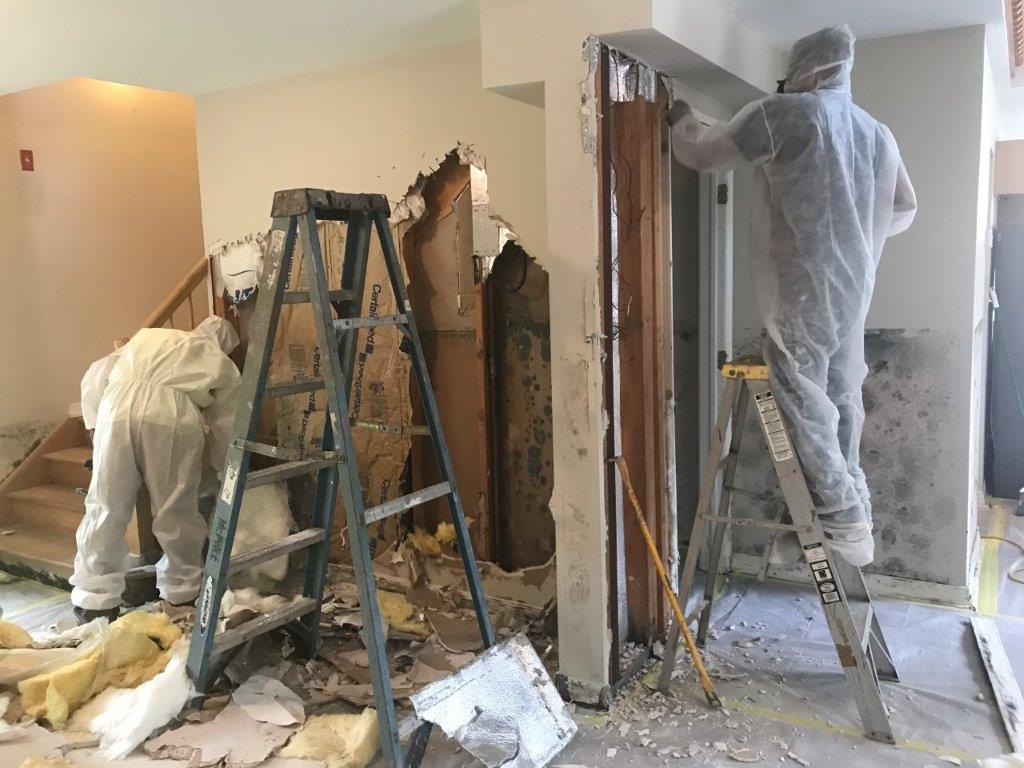 Water Damage Restoration 4 Certified Mold Removal New York City