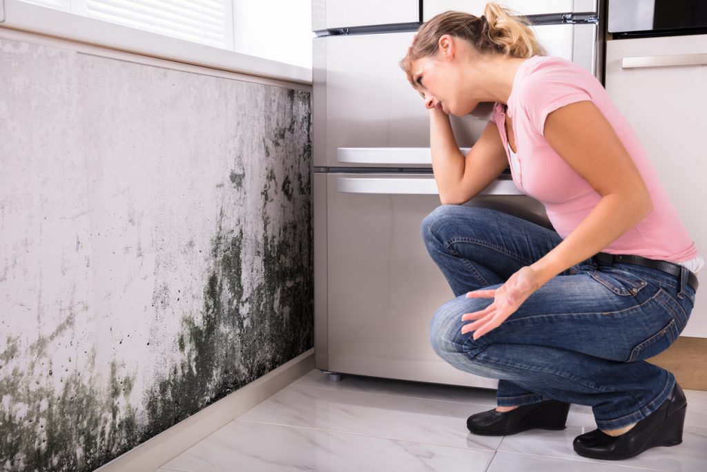 Mold Mitigation 2 Mold Remediation 1024x683 1