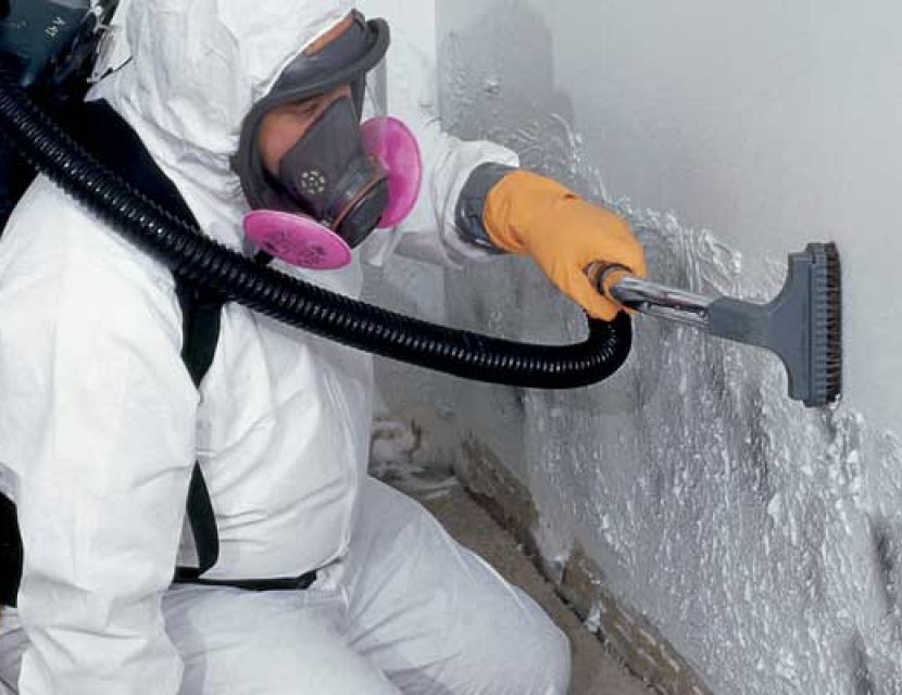 Home 6 Mold Remediation Services