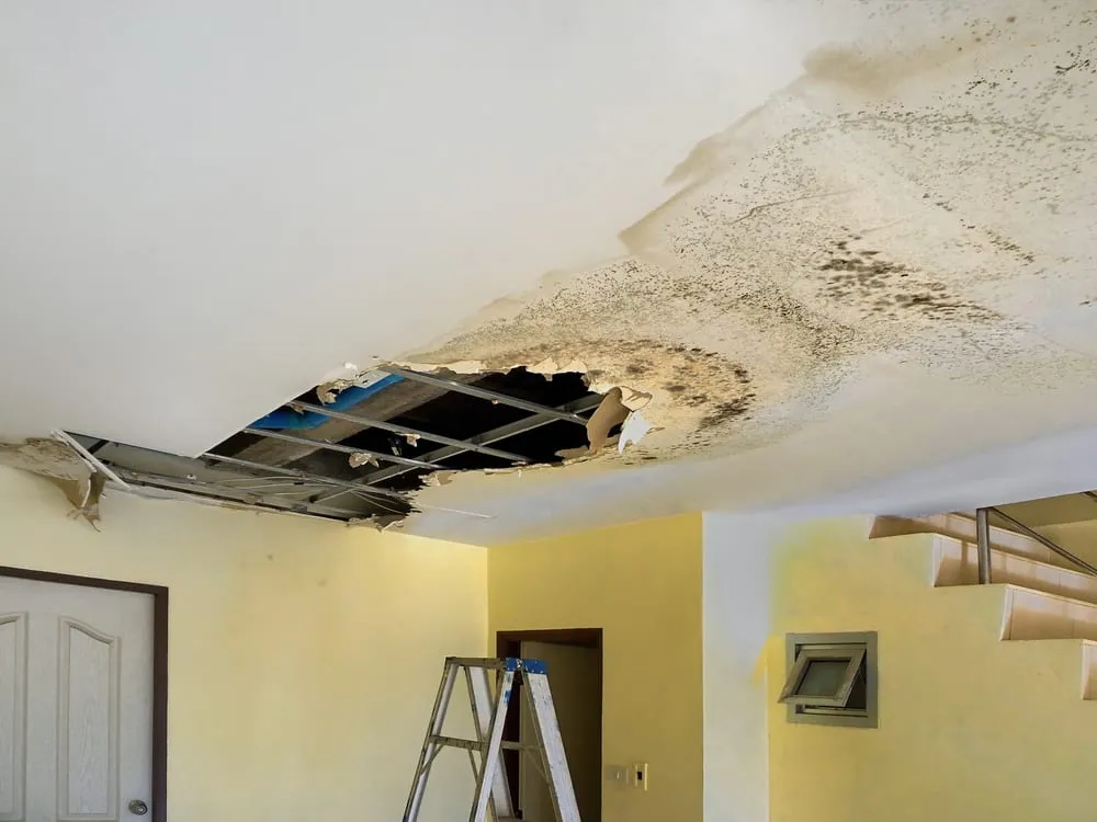 Mold Remediation 3 shutterstock 673485376