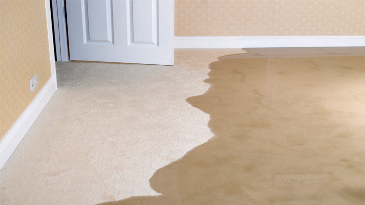 Water Damage Restoration 2 what to do when your basement floods